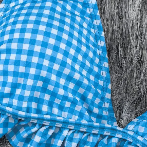 Sky Blue Plaid Ruffle Trim Triangle Bikini Set - Picture 14 of 15